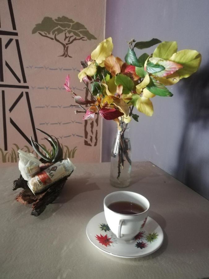 Ashtree Guesthouse Ганновер Экстерьер фото